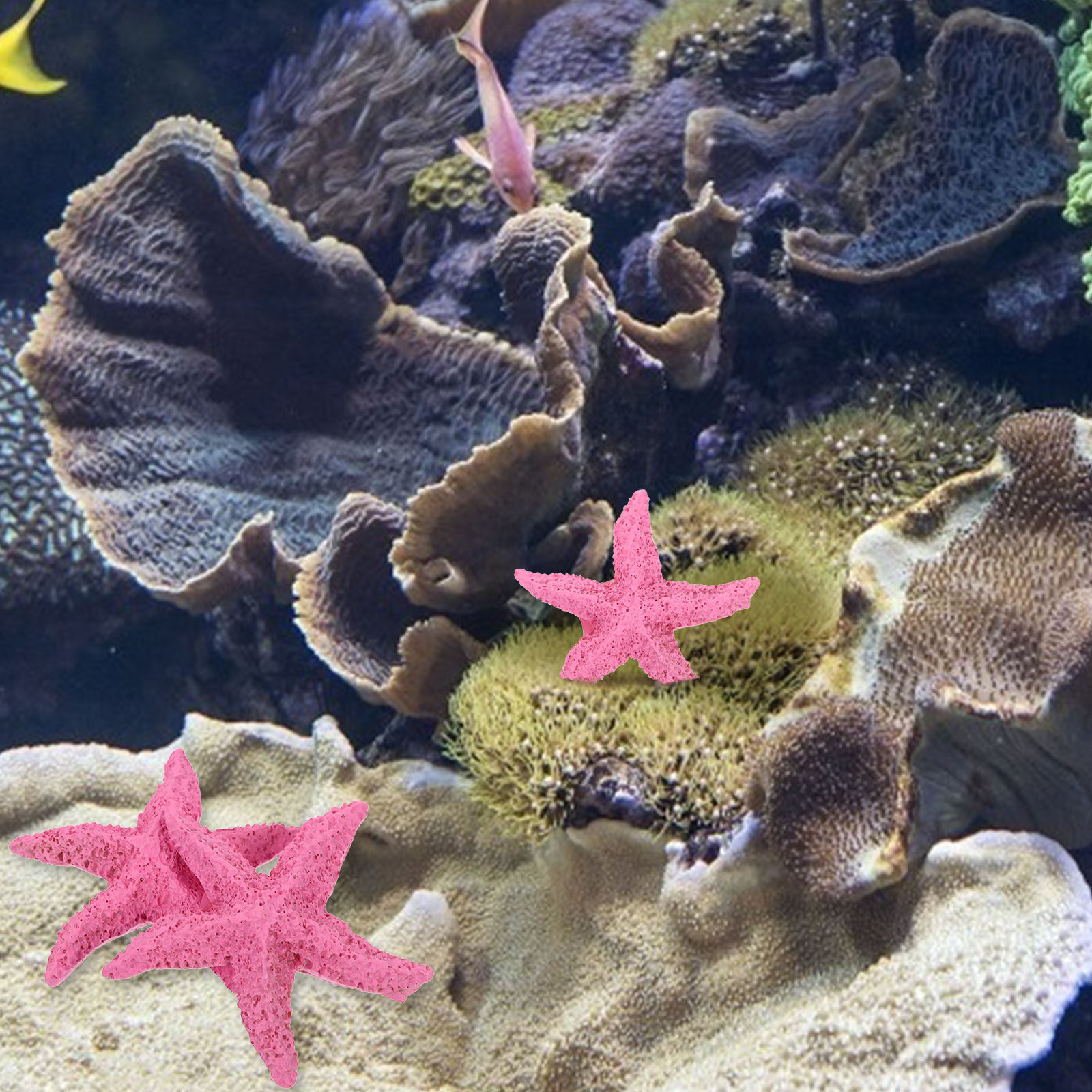 Marine Aquarium Home - 2 piezas de animales marinos artificiales,