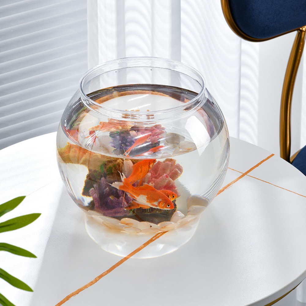 Pecera redonda transparente de - Marine Aquarium Live reseña y precio