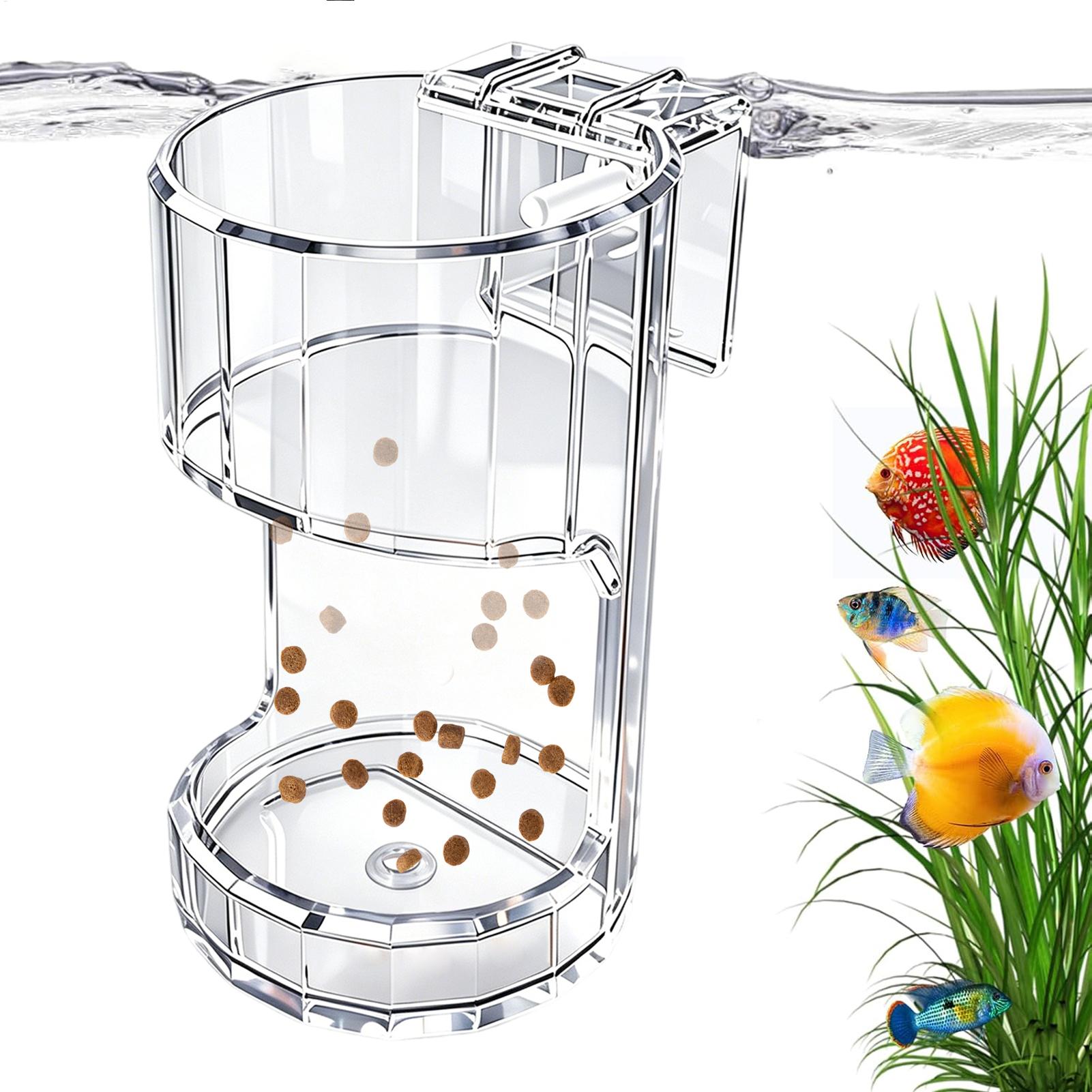Plato de Alimentación para Acu - Marine Aquarium Live reseña y precio