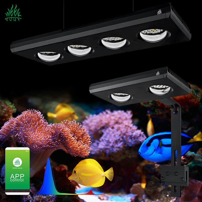 ZXY gran oferta WEEKAQUA Z250  - Aquarium Marine Blue reseña y precio