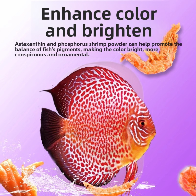 LONGLUOSHIJIA Alimento para pe - Marine Aquarium Live reseña y precio