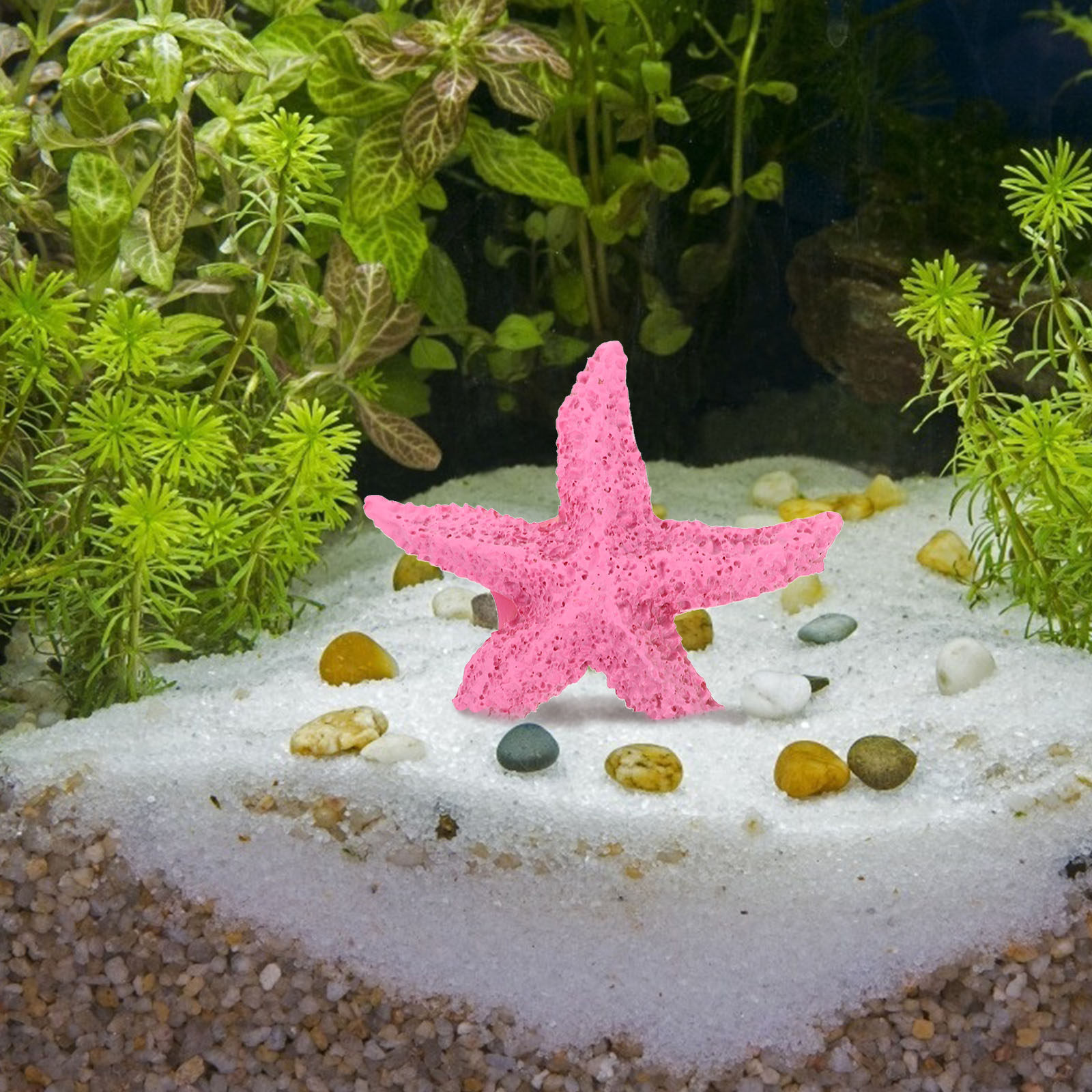 2 piezas de animales marinos a - Marine Aquarium Home reseña y precio