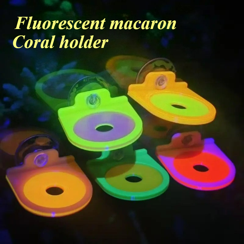 Soporte para Frag de Coral de  - Marine Aquarium Live reseña y precio