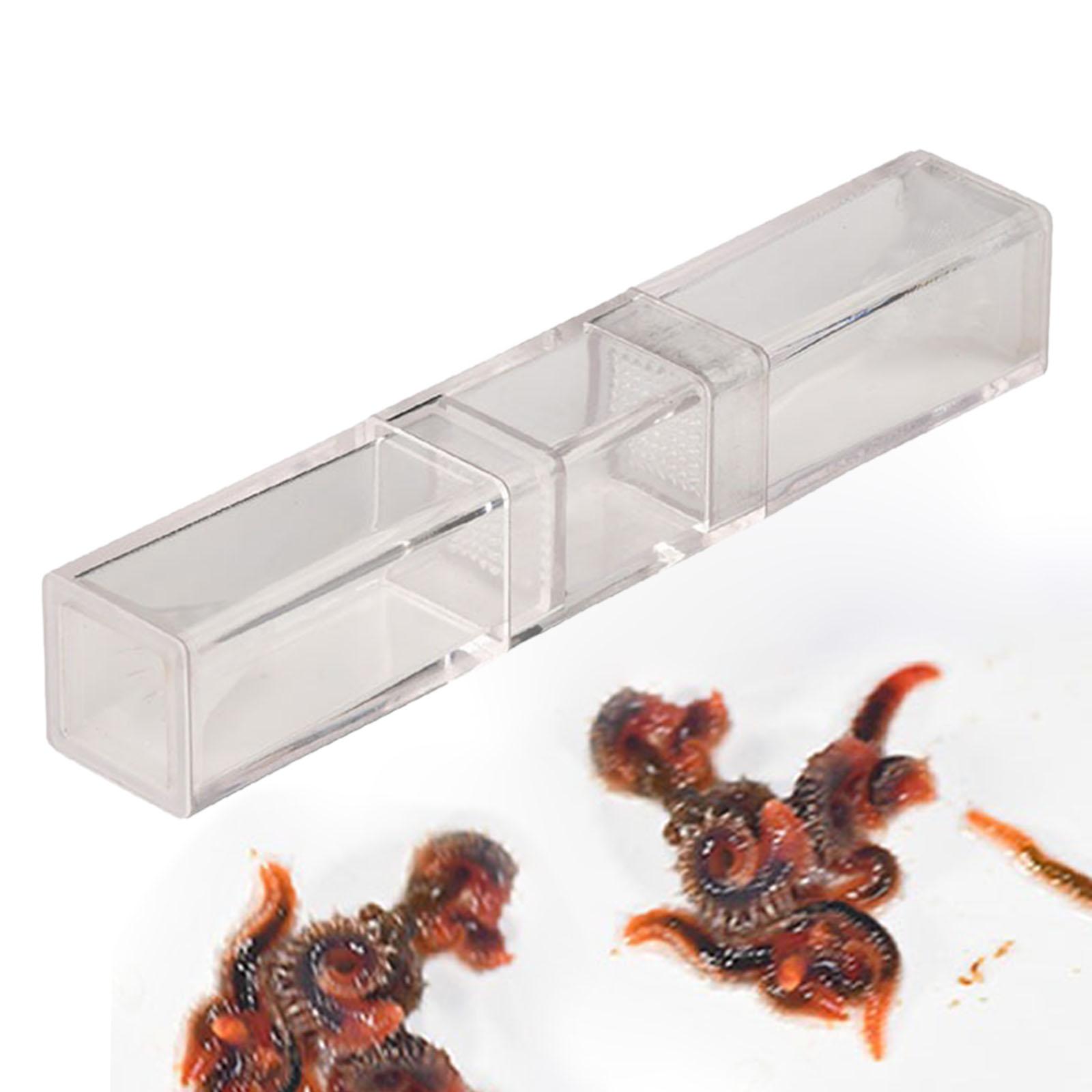 Acuario Planaria Catcher para  - Marine Aquarium Worms reseña y precio