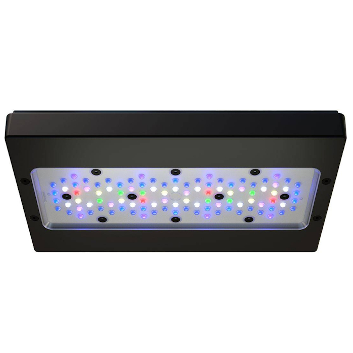 Lámpara LED Marina para Acuari - Aquarium Marine Blue reseña y precio