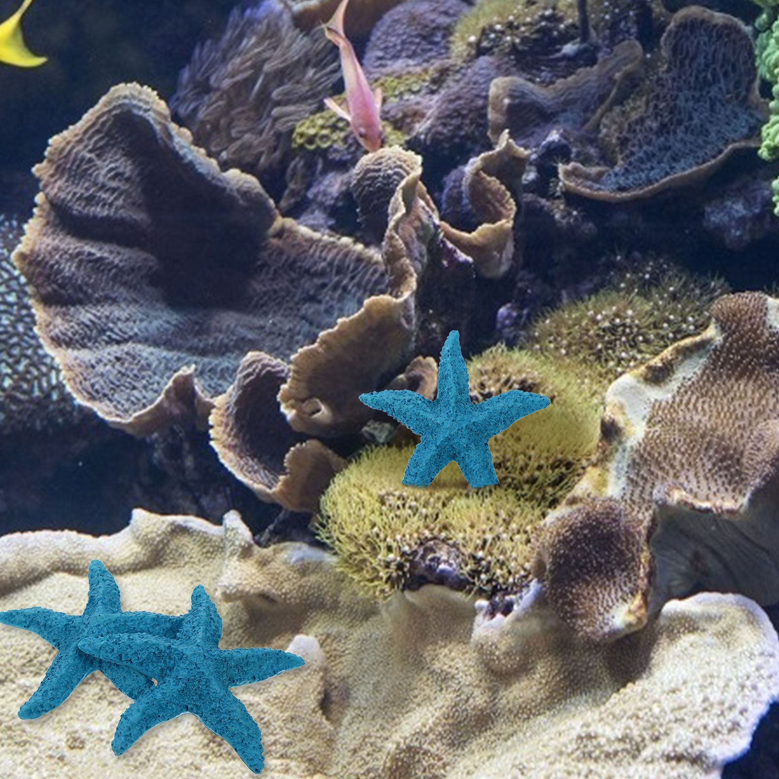 2 piezas de adornos de estrell - Marine Aquarium Home reseña y precio