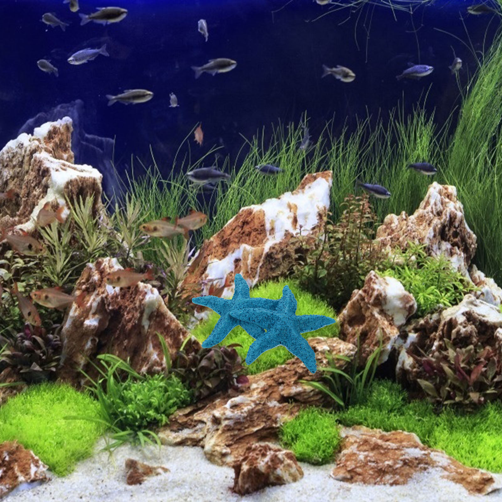 2 piezas de adornos de estrell - Marine Aquarium Home reseña y precio