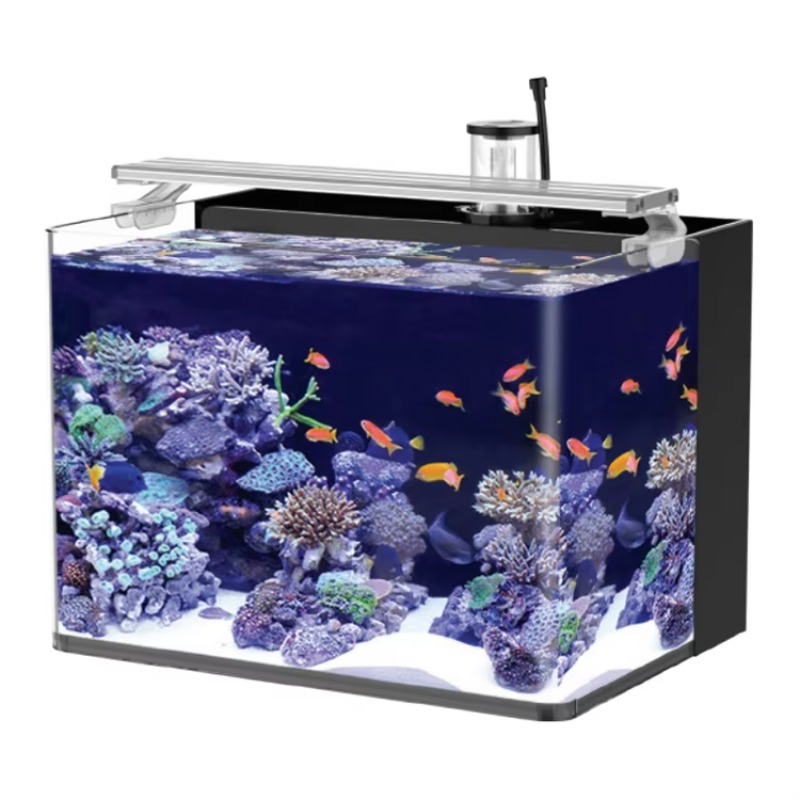 Acuario Curvo de Agua Salada p - Marine Aquarium Live reseña y precio
