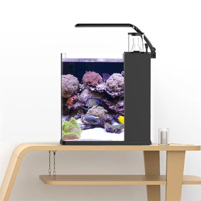 Acuario Curvo de Agua Salada p - Marine Aquarium Live reseña y precio