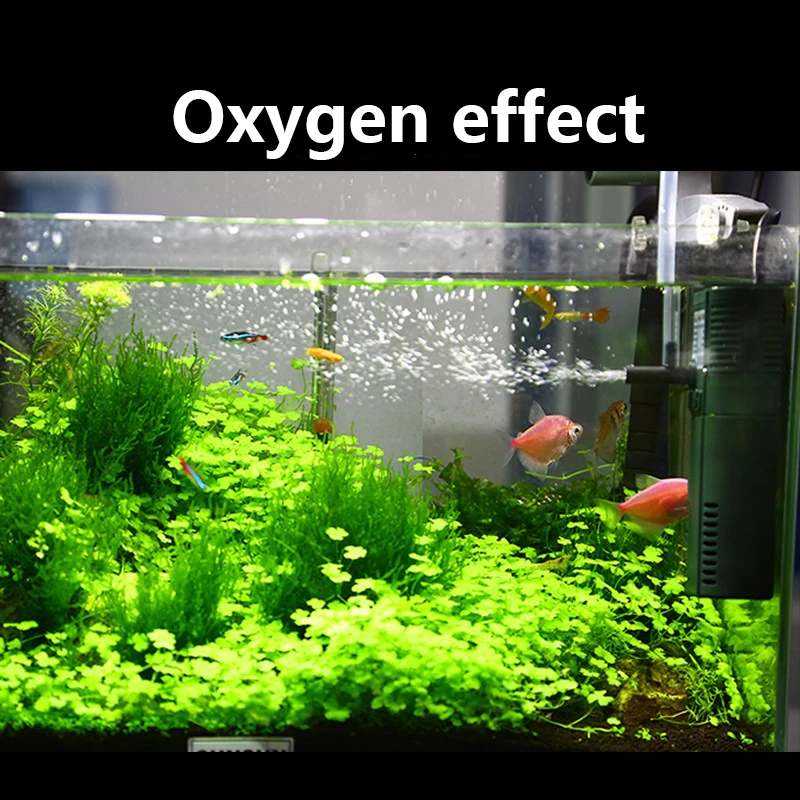 SUNSUN-bomba sumergible de oxí - Marine Aquarium Uv Light reseña y precio